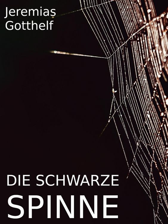 Produktbild: Die schwarze Spinne