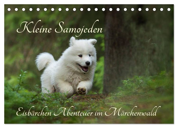 Produktbild: Kleine Samojeden - Eisb&auml;rchen Abenteuer im M&auml;rchenwald (Tischkalender 2026 DIN A5 quer), CALVENDO Monatskalender