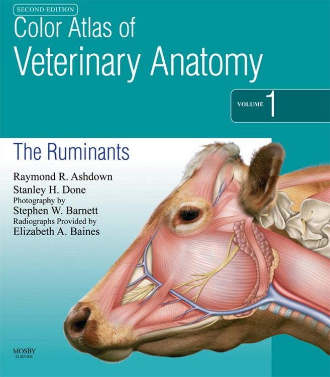 Produktbild: Color Atlas of Veterinary Anatomy, Volume 1, The Ruminants E-Book