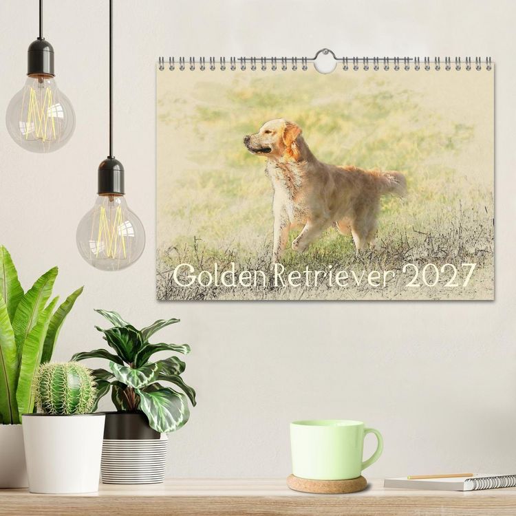 Produktbild: Golden Retriever 2027 (Wandkalender 2027 DIN A4 quer), CALVENDO Monatskalender