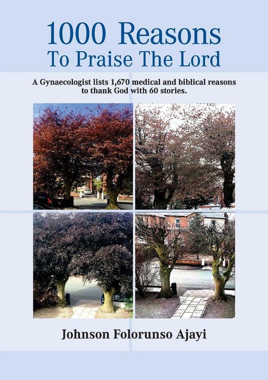 Produktbild: 1000 Reasons to Praise the Lord