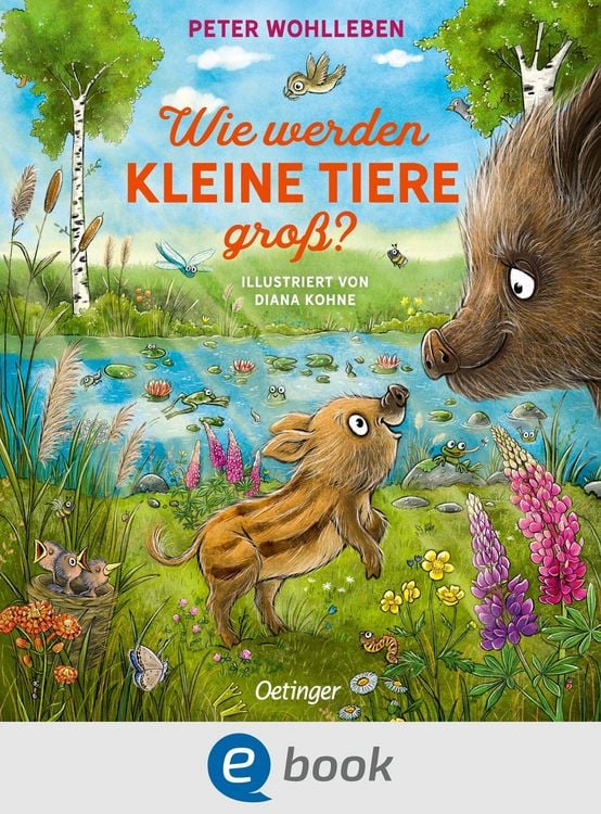 Produktbild: Wie werden kleine Tiere gro&szlig;?