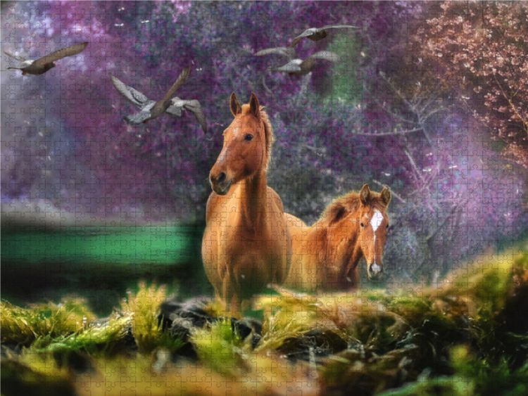 Produktbild: CALVENDO Puzzle St&auml;rke hat es nicht n&ouml;tig Schw&auml;che auszunutzen. **Helga Sch&auml;ferling | 1000 Teile Lege-Gr&ouml;&szlig;e 64x48cm Foto-Puzzle f&uuml;r gl&uuml;ckliche Stunden