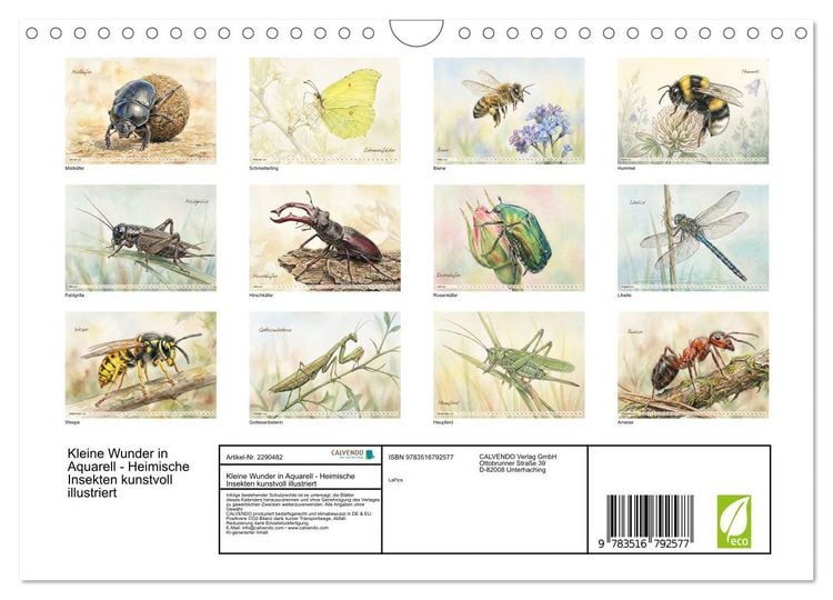 Produktbild: Kleine Wunder in Aquarell - Heimische Insekten kunstvoll illustriert (Wandkalender 2027 DIN A4 quer), CALVENDO Monatskalender