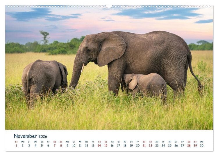 Produktbild: Fernweh Uganda - Natursch&ouml;nheit Ostafrikas (Wandkalender 2026 DIN A2 quer), CALVENDO Monatskalender
