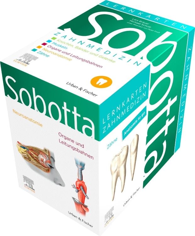 Produktbild: Sobotta Lernkarten Anatomie für die Zahnmedizin