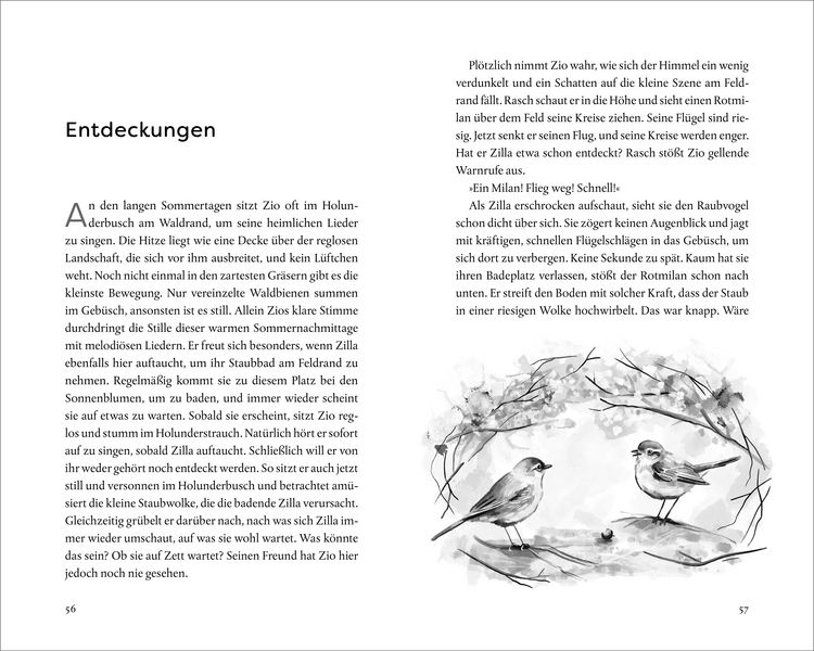 Produktbild: Hundert Himmel