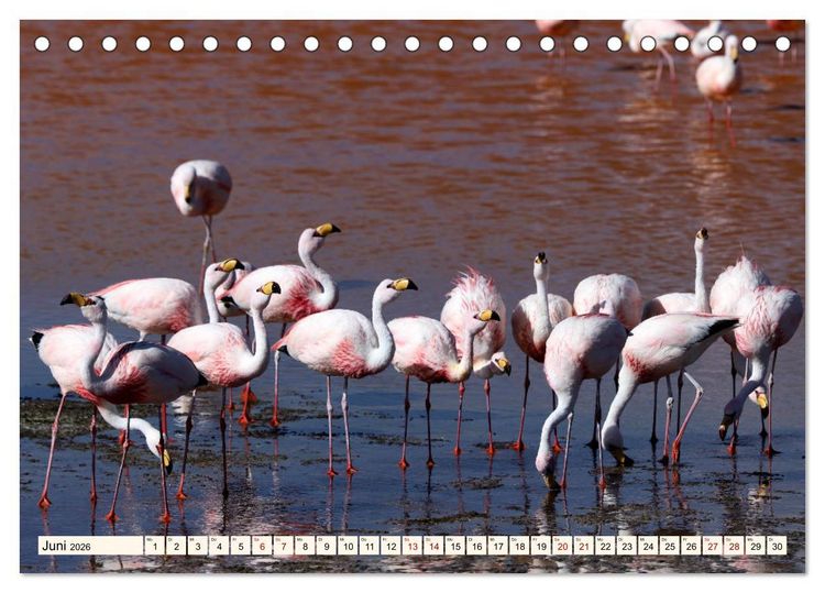 Produktbild: ATACAMA Wunder der Natur (Tischkalender 2026 DIN A5 quer), CALVENDO Monatskalender
