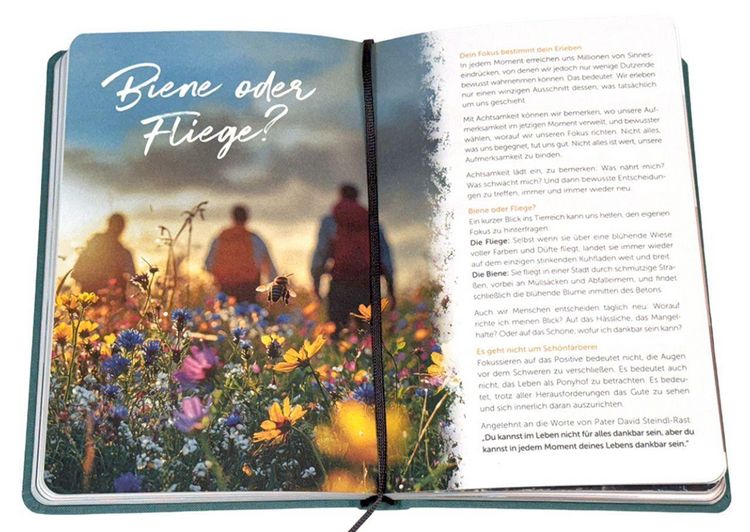 Produktbild: Mein Weg - Meine Reise