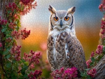 Produktbild: CALVENDO Puzzle Der Uhu auf der Lauer | 2000 Teile Lege-Gr&ouml;&szlig;e 90x67cm Foto-Puzzle f&uuml;r gl&uuml;ckliche Stunden