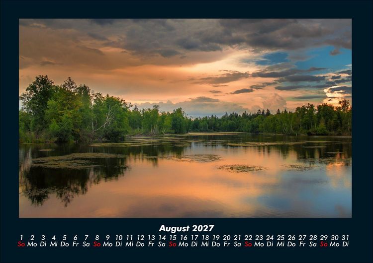 Produktbild: B&auml;ume 2027 Fotokalender DIN A4