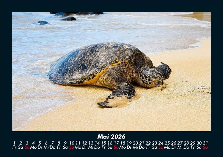 Produktbild: Str&auml;nde der Welt 2026 Fotokalender DIN A5