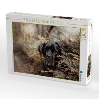 Produktbild: CALVENDO Puzzle Cane Corso | 1000 Teile Lege-Gr&ouml;&szlig;e 64x48cm Foto-Puzzle f&uuml;r gl&uuml;ckliche Stunden