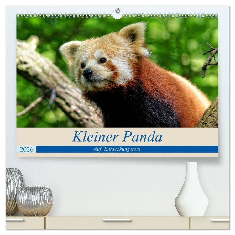 Produktbild: Kleiner Panda auf Entdeckungstour (hochwertiger Premium Wandkalender 2026 DIN A2 quer), Kunstdruck in Hochglanz