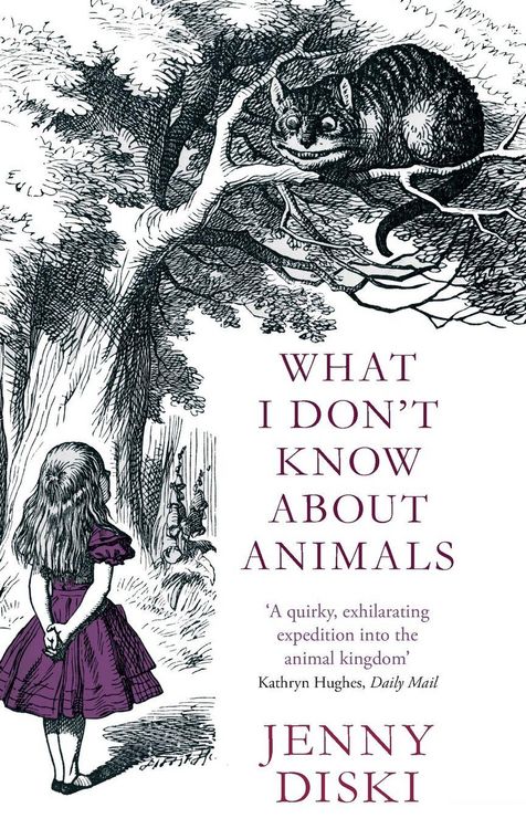 Produktbild: What I Don't Know About Animals