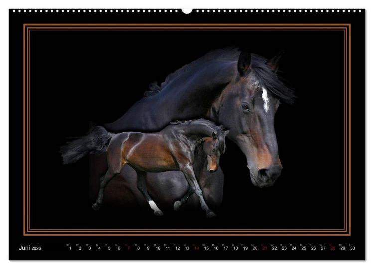 Produktbild: Traumpferde-ART-Collection (hochwertiger Premium Wandkalender 2026 DIN A2 quer), Kunstdruck in Hochglanz
