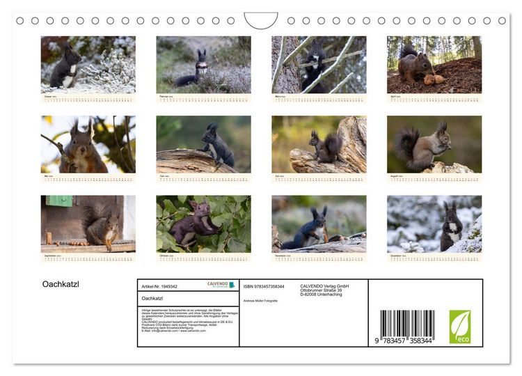 Produktbild: Oachkatzl (Wandkalender 2026 DIN A4 quer), CALVENDO Monatskalender