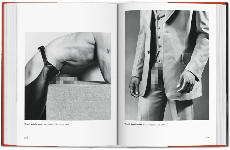 Produktbild: The Male Nude