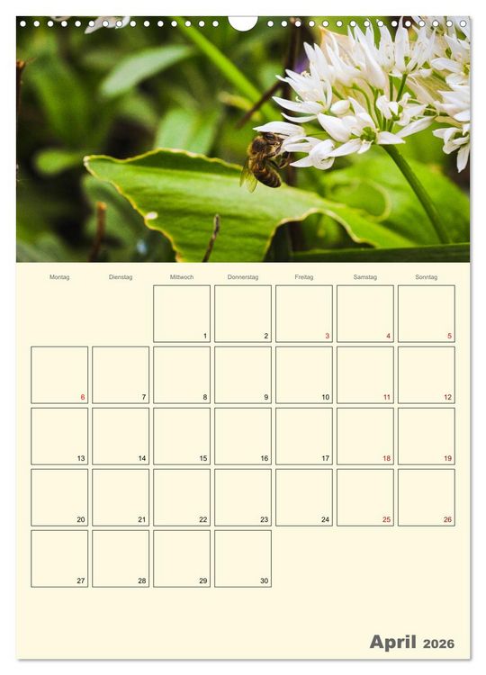 Produktbild: Bienen im Naturgarten (Wandkalender 2026 DIN A3 hoch), CALVENDO Monatskalender
