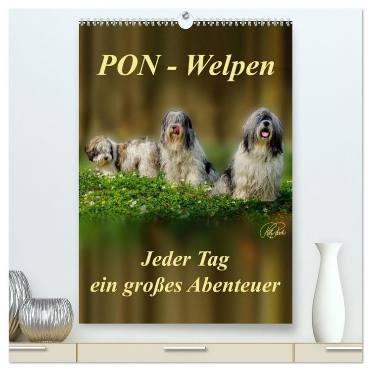 Produktbild: PON-Welpen - jeder Tag ein gro&szlig;es Abenteuer / Planer (hochwertiger Premium Wandkalender 2026 DIN A2 hoch), Kunstdruck in Hochglanz