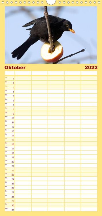 Produktbild: Familienplaner Gartenv&ouml;gel (Wandkalender 2022 , 21 cm x 45 cm, hoch)