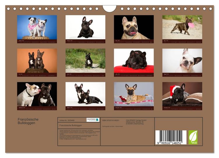 Produktbild: Franz&ouml;sische Bulldoggen (Wandkalender 2026 DIN A4 quer), CALVENDO Monatskalender