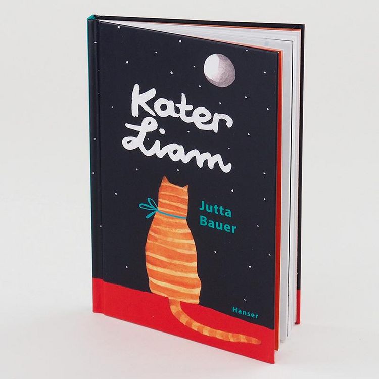 Produktbild: Kater Liam
