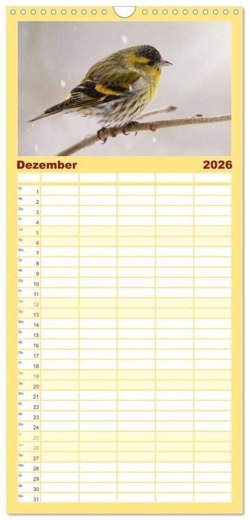 Produktbild: Familienplaner 2026 - Erlenzeisige mit 5 Spalten (Wandkalender, 21 x 45 cm) CALVENDO