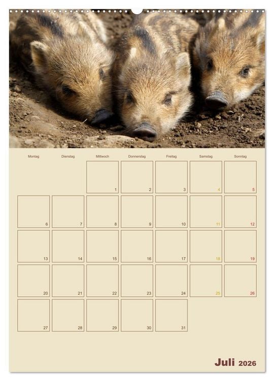 Produktbild: Wildschweine (hochwertiger Premium Wandkalender 2026 DIN A2 hoch), Kunstdruck in Hochglanz