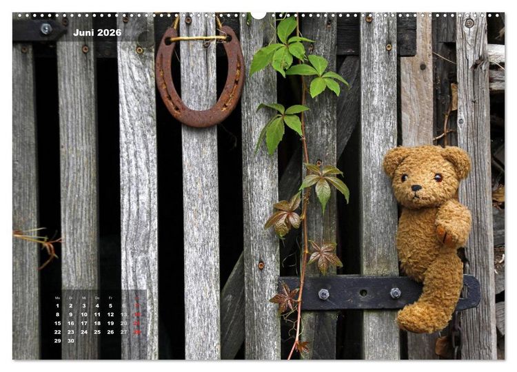 Produktbild: Gl&uuml;cksbringer (hochwertiger Premium Wandkalender 2026 DIN A2 quer), Kunstdruck in Hochglanz