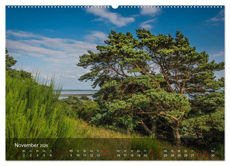 Produktbild: Insel Hiddensee - Wildromantisch unber&uuml;hrt (Wandkalender 2026 DIN A2 quer), CALVENDO Monatskalender