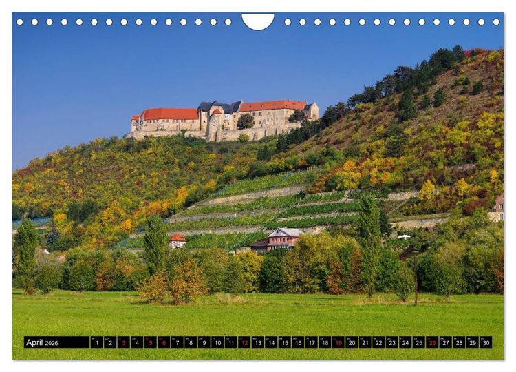 Produktbild: Saale-Unstrut - Region aus Wein und Stein (Wandkalender 2026 DIN A4 quer), CALVENDO Monatskalender