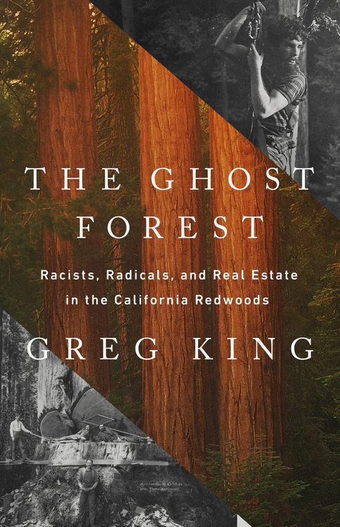 Produktbild: The Ghost Forest