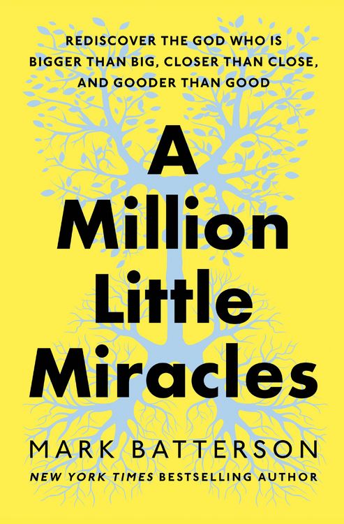 Produktbild: A Million Little Miracles