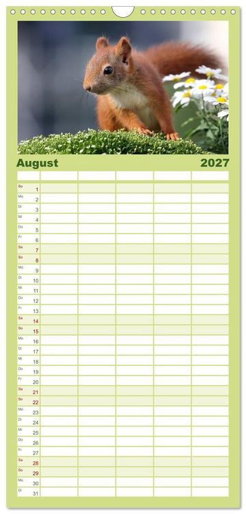 Produktbild: Familienplaner 2027 - Eichh&ouml;rnchen Momentaufnahmen f&uuml;rs Herz mit 5 Spalten (Wandkalender, 21 x 45 cm) CALVENDO
