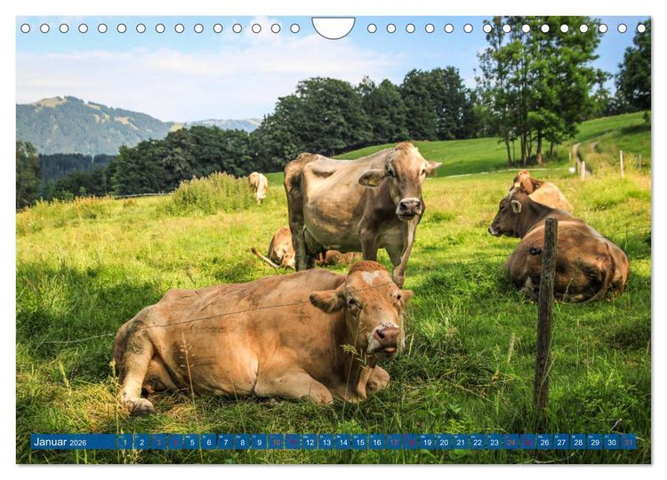 Produktbild: Allg&auml;u - Perle im S&uuml;den (Wandkalender 2026 DIN A4 quer), CALVENDO Monatskalender