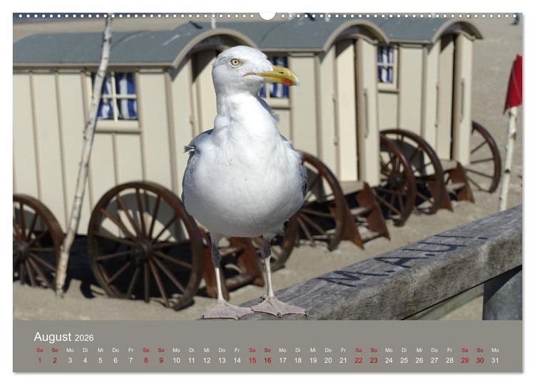 Produktbild: Norderney - Meine Trauminsel (hochwertiger Premium Wandkalender 2026 DIN A2 quer), Kunstdruck in Hochglanz