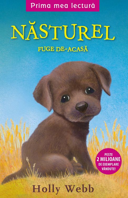 Produktbild: Nasturel fuge de-acasa