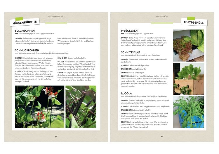 Produktbild: Vertikaler Gem&uuml;segarten - 20 DIY-Projekte f&uuml;r essbare Minig&auml;rten
