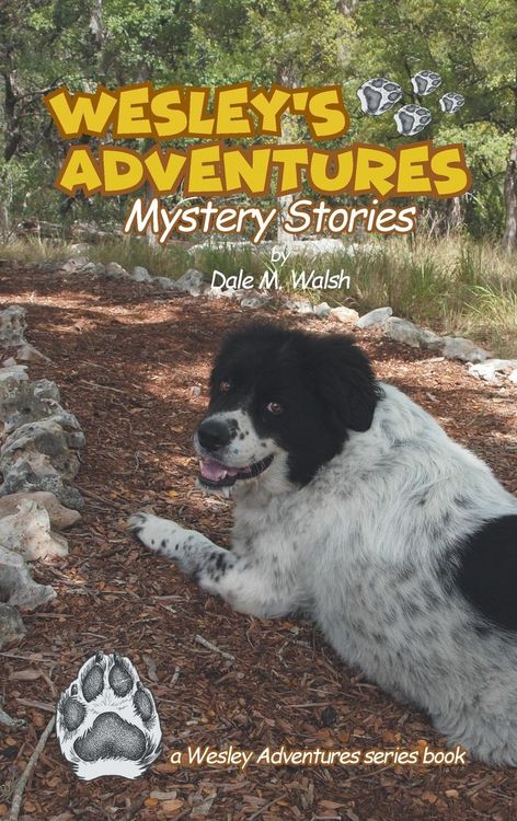 Produktbild: Wesley's Adventures