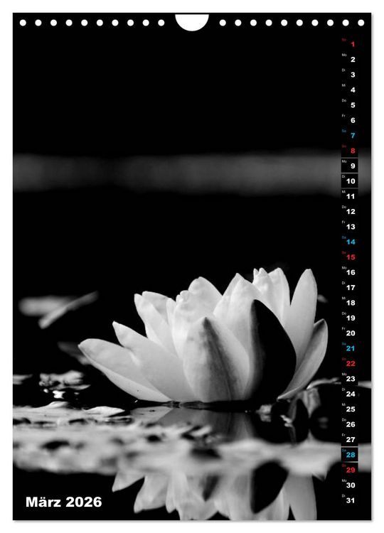 Produktbild: Blumige Graustufen - Schwarz und Wei&szlig; (Wandkalender 2026 DIN A4 hoch), CALVENDO Monatskalender
