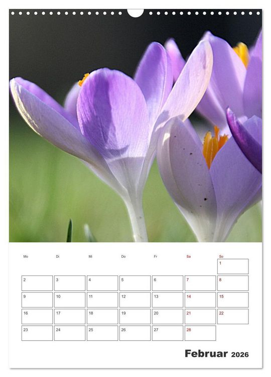 Produktbild: BL&Uuml;TENZAUBER (Wandkalender 2026 DIN A3 hoch), CALVENDO Monatskalender