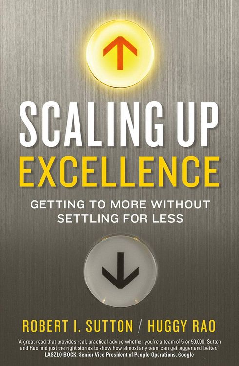 Produktbild: Scaling up Excellence