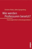 Produktbild: Wie werden Professuren besetzt?