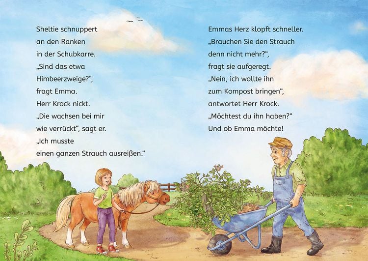 Produktbild: Sheltie, B&uuml;cherhelden 1. Klasse, Sheltie in der Schule