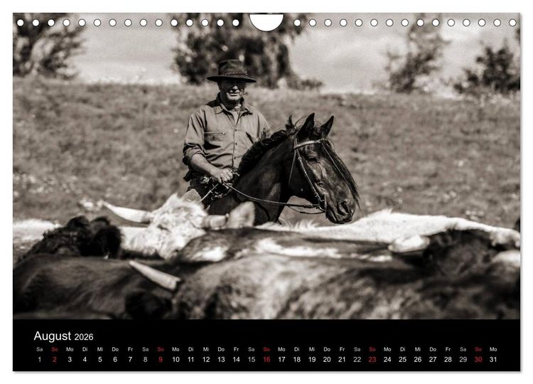 Produktbild: Westernreiten (Wandkalender 2026 DIN A4 quer), CALVENDO Monatskalender