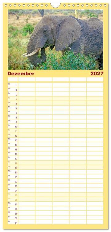 Produktbild: Familienplaner 2027 - Elefanten in der Serengeti mit 5 Spalten (Wandkalender, 21 x 45 cm) CALVENDO