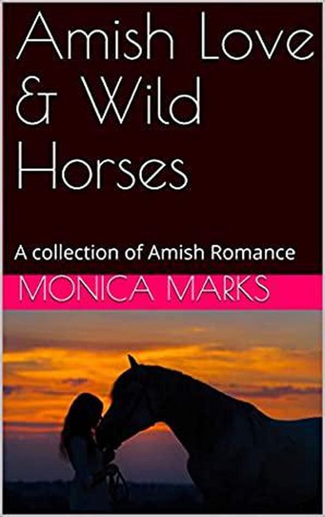 Produktbild: Amish Love & Wild Horses