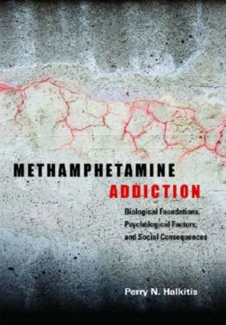 Produktbild: Methamphetamine Addiction