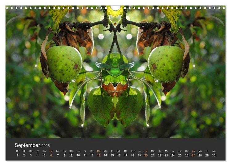 Produktbild: Spiegelwelten - Im Reich der Naturwesen (Wandkalender 2026 DIN A3 quer), CALVENDO Monatskalender